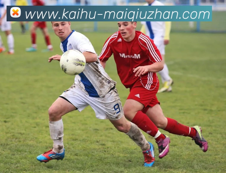 App Interface Preview